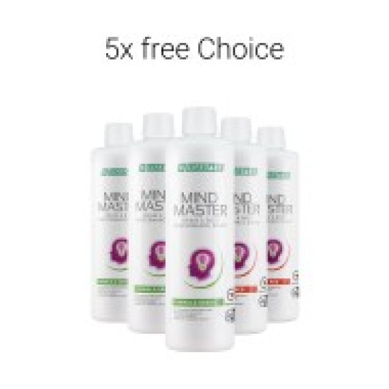Mind Master 5er Set Artikelnummer: 80935-401